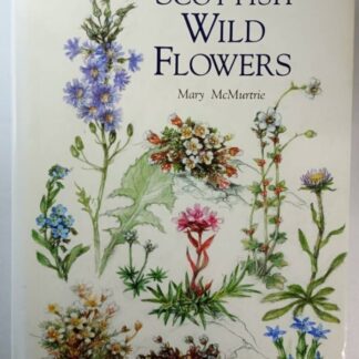 Scottish Wild Flowers